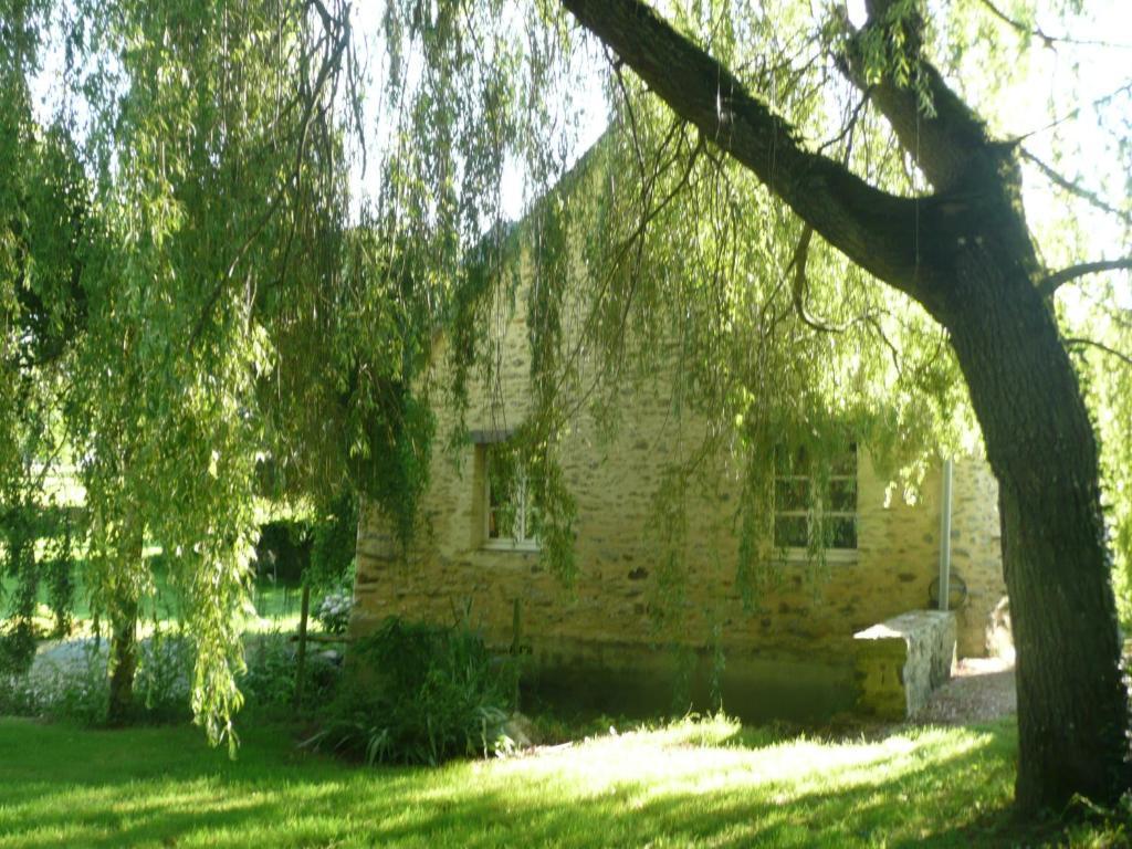 Bed and Breakfast Le Moulin D'Hys La Cropte Exterior foto